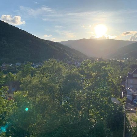 Au Reposoir - Vue Sur La Montagne Apartment Buhl Ngoại thất bức ảnh