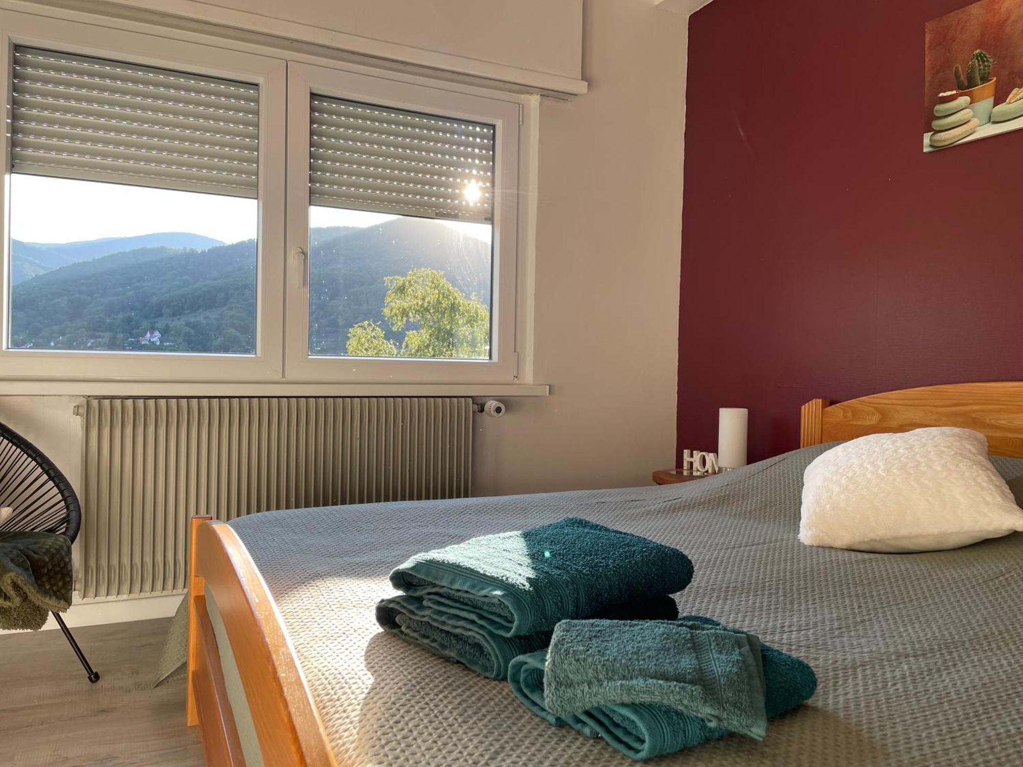 Au Reposoir - Vue Sur La Montagne Apartment Buhl Ngoại thất bức ảnh